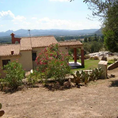 Delle Aie